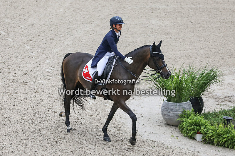 Estelle Wettstein - Great escape camelot