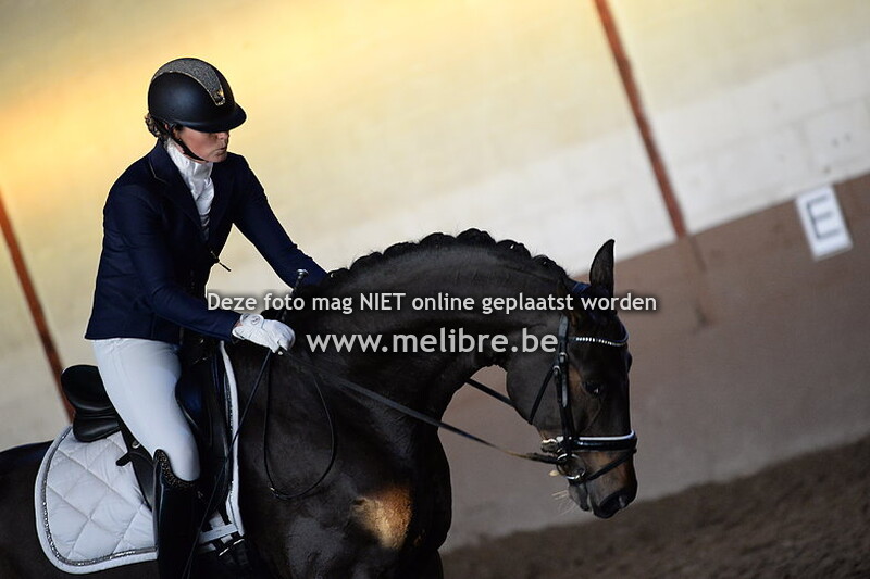 Winterdressuur KR - Gravenhof