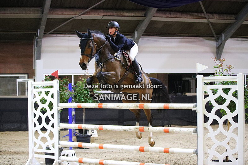 Zilfia's Hoeve Springen paarden 03-02-2024 120/130 cm