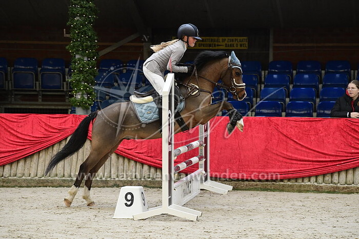 Sophie Post - Mini Hoeve's Alegro