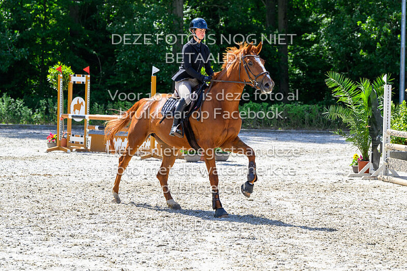 12 Rijstijl paarden 0.90 cm ZB