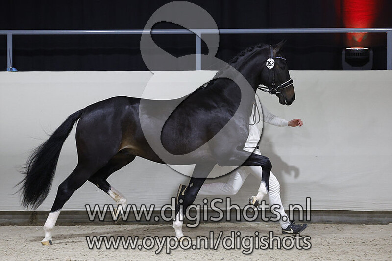 Odysseus P v. Foundation