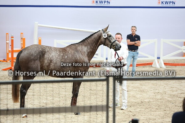 82 Sky High (Mattias x Air Holland v. Tolan)