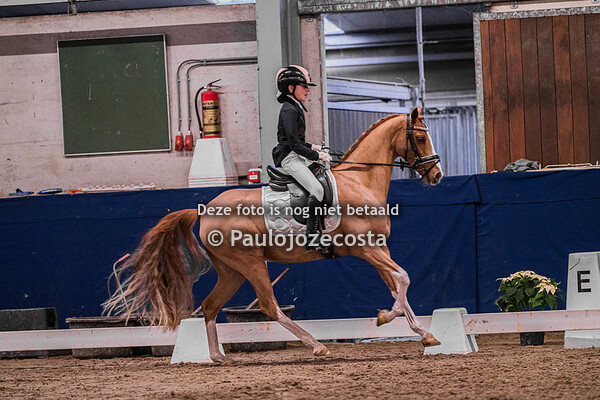 6-Indoor Beukers L, B, M