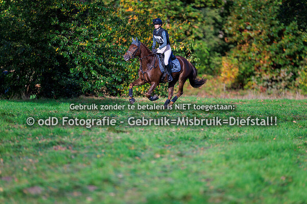 Eventing Diepenheim pony's M 18-10-25