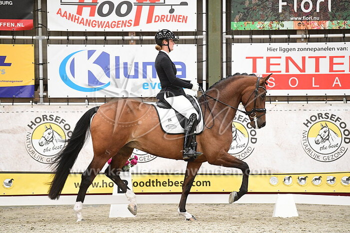 Emma van den Hooven - High Joy