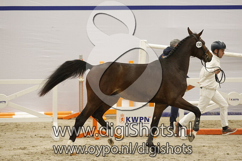 Spirit vd Watermolen v. United Touch S