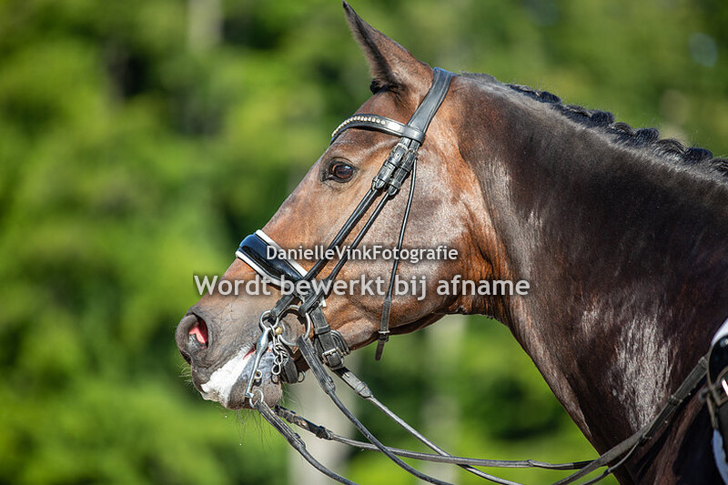 Sjanine van der Stelt - Aida