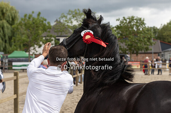 67. Wiefie vd Arebohoeve