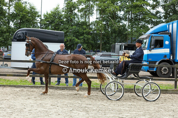 Alternatieve Ibop - Pelyvia ( Kordaat x Manno )