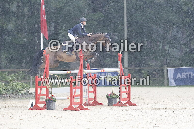 Ingemar Hammarstro¨m