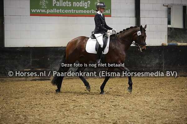 25 My Fair Lady Texel (Ferdinand x Ellegant v. Ferro) Rozemarijn Groenenboom