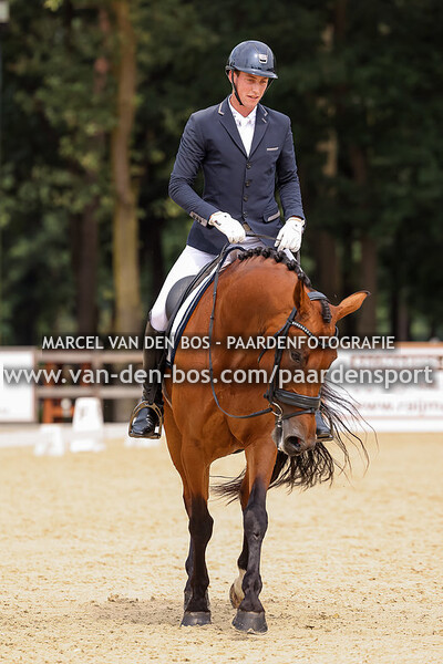 20230721-Ring-3-101-paard-ZZL - nr6 - nr10