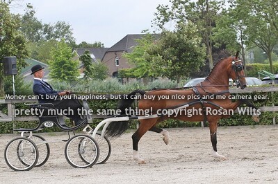 HTNCH25 tussenlimiet