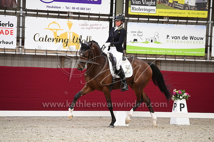 Krista Kolijn - Orlando