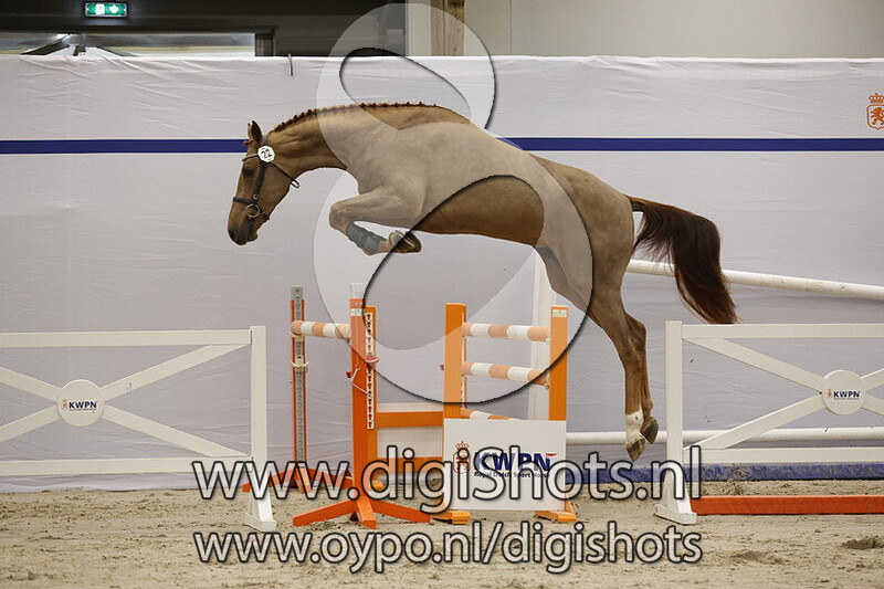 Sambal v. Carrera VDL