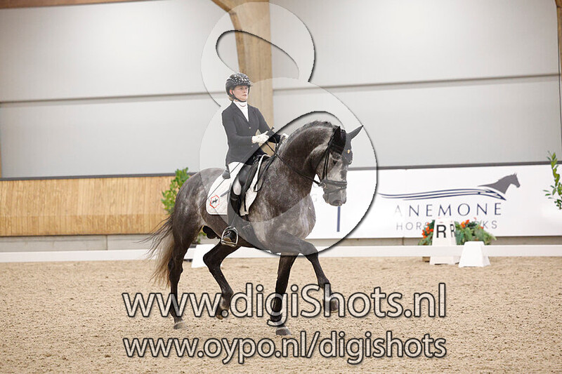 Hexagons Power Dutch