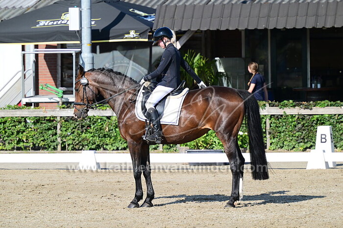 Manon van den Berg - Elegance des Terdrix