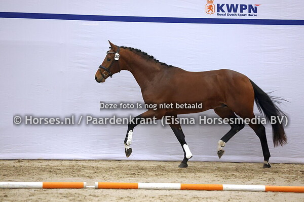 336 (Escaneno x Krack C)