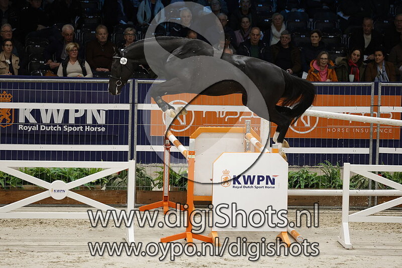 Radetzky v. Donthargos - 056