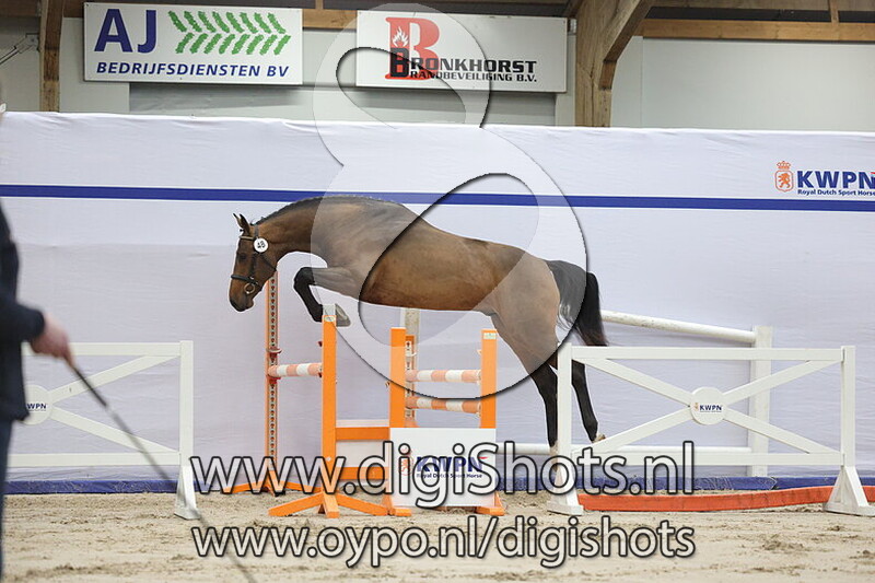 Trivian vd Watermolen