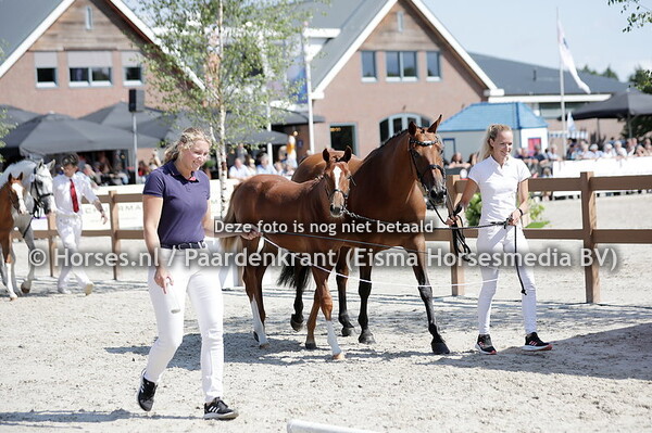 '28 Smileybalia van Seldsum Emerals van't Ruytershof x I-Nabalia v. Namelus R)