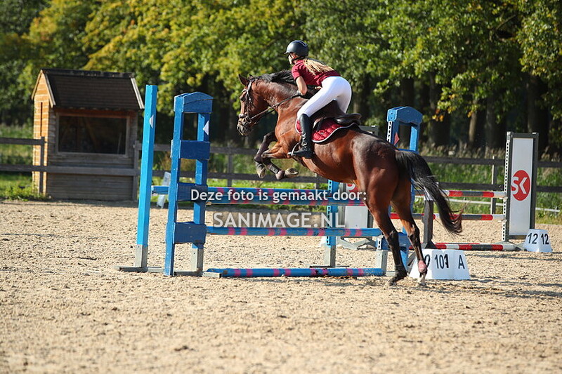 Manege Groenewoude 28-09-2025 Springen Paarden 80-90 cm