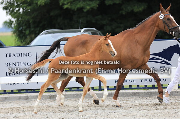 105 O'laroos van de Sydersee