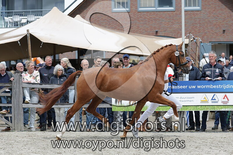 Siana v. My Blue Hors Santiano