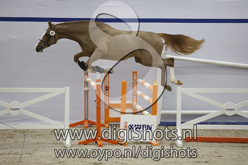 Waldemar van den Berg v. Ermitage Kalone