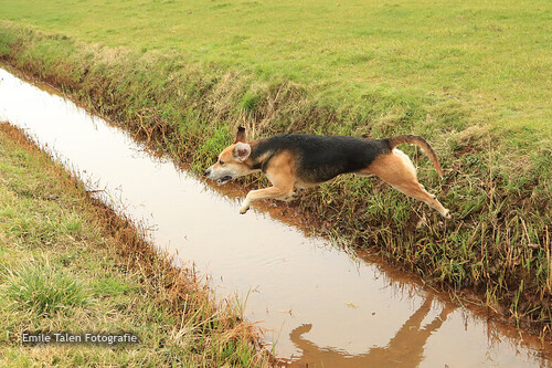 Slipjacht JVS Wisch Sinderen 15-02-2025