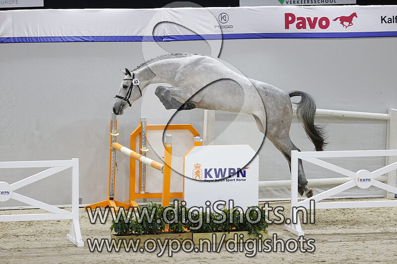 Newton VDL v. Cohinoor VDL