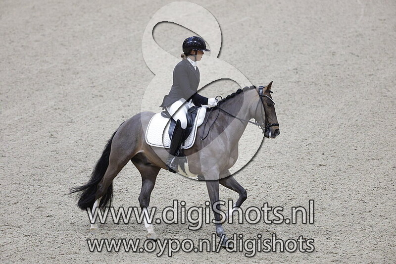 N Constantino vd Bolkerhoeve