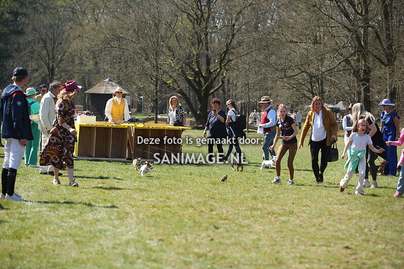 NK Jachtpaarden Maarsbergen 12-04-2025 Jack Russell Race