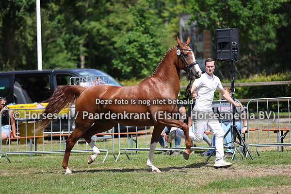 41 Sione van Heemstate