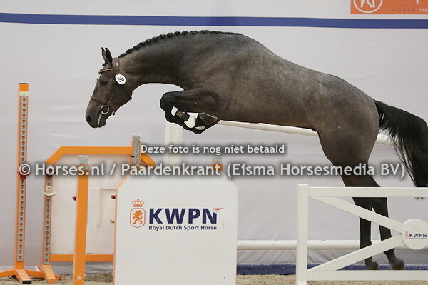 96 Rock Me Zsa Zsa (Lambada Shake x La Zsa Zsa v.Cornet Obolensky)