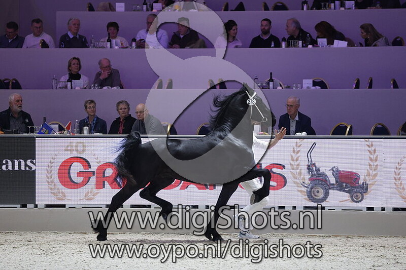 Wiebren fan 'e Wygeast D.A.W.