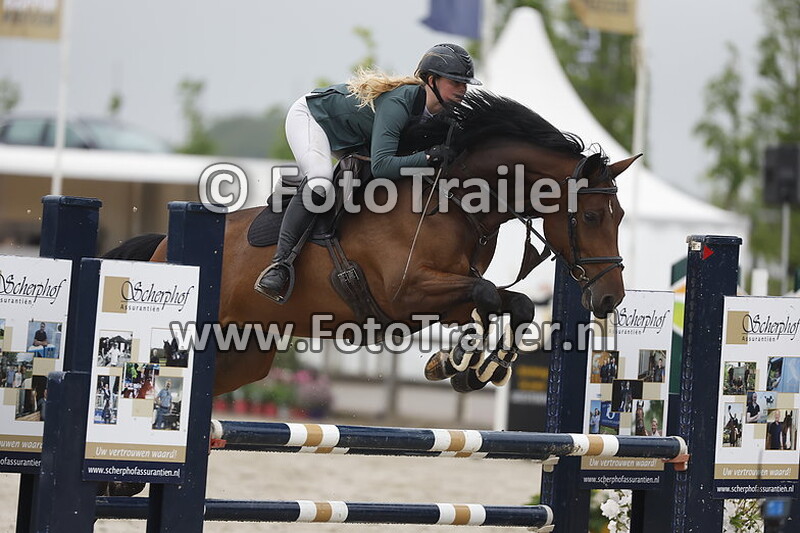 sanne van der wetering