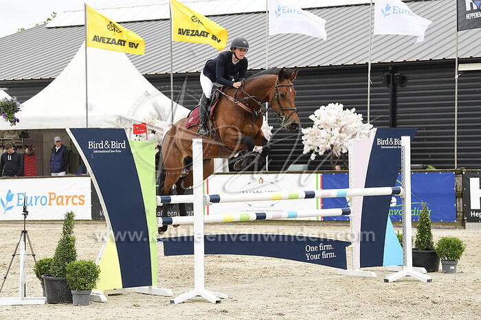 Jolie Schaling - Messina