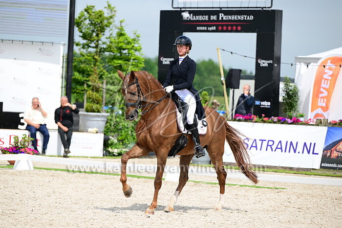 Tessa Kole - Hexagon's King Robert