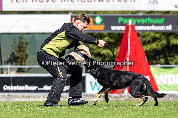 Lot nr 10 Elle Willemse arts