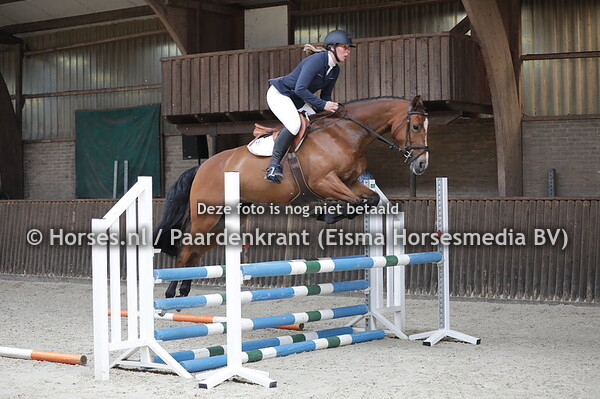 16 Isabelle (Applaus x Zoelle v,. Sam R)