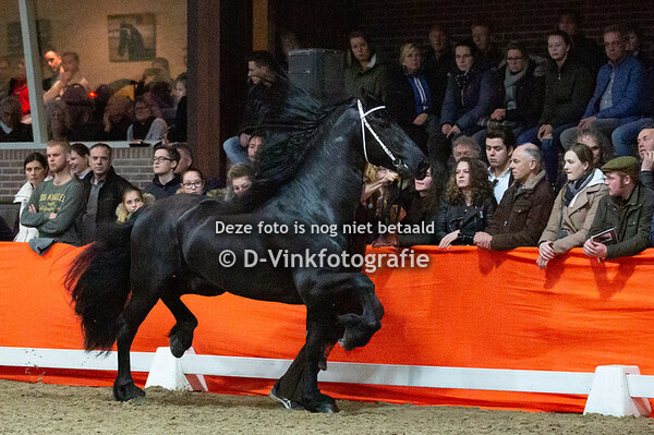 Tiede 501 en nakomelingen