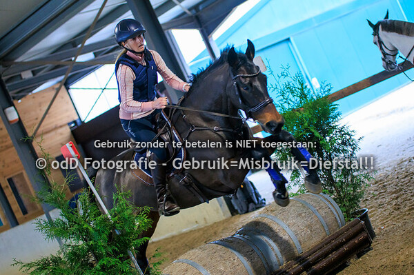 Kerstraining Margo van Nijnatten Groep 6 12.45