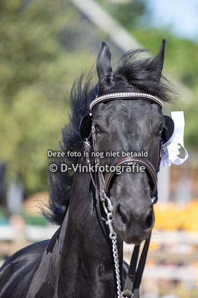 36. Vaya van "ons Plekje"