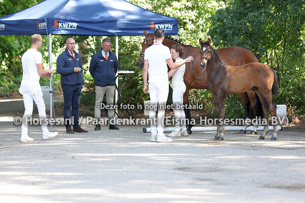 14 Luxe RS (Ferguson x Dorina v. Riverman) (1)