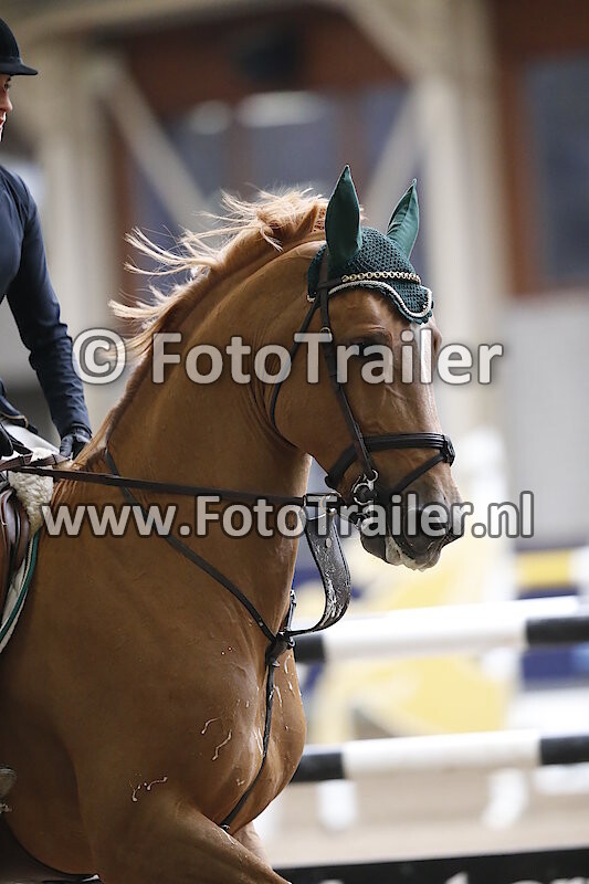 Wilma Charlotte Hellstrom