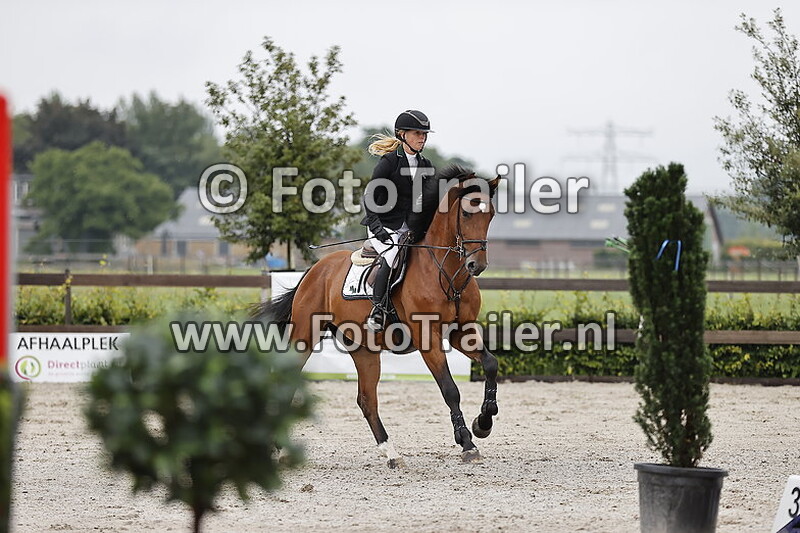 anoek van der pluijm