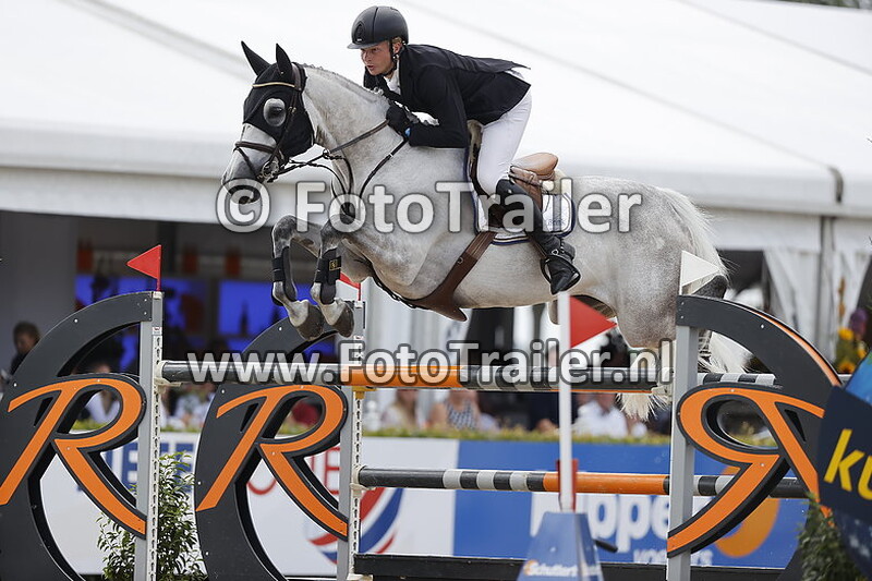 dennis van den brink