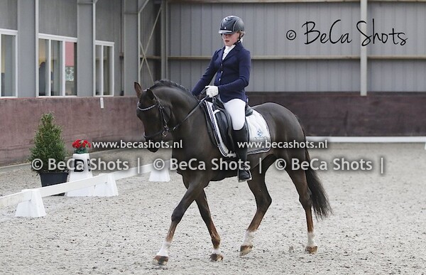 Kringkampioenschappen Heeten pony's dressuur